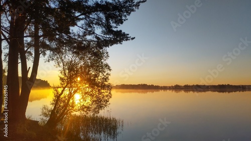 In the morning  the sun rises over the lake and shines through the leaves of a tree. The shores of the lake are covered with forest  with reeds growing in the water. The branches of a pine tree hang 