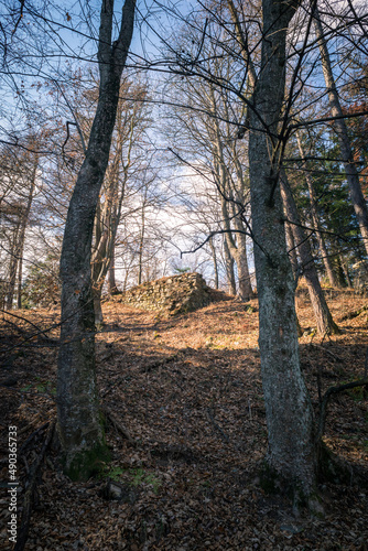  Old stone wall in the wood