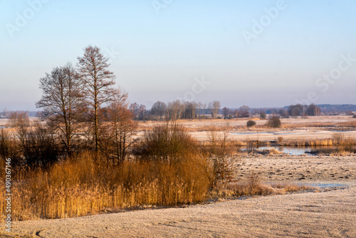 Poranek z przymrozkiem w Dolinie Narwi, Podlasie, Polska © podlaski49