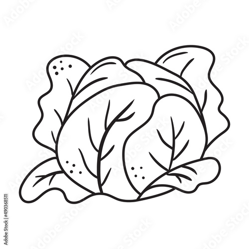 Black outline cabbage icon. Hand drawn drawing. Sketch vegetable illustration. Doodle silhouette of harvest element