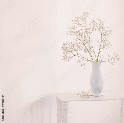 gypsophila in white vase on old wooden shelf on white background