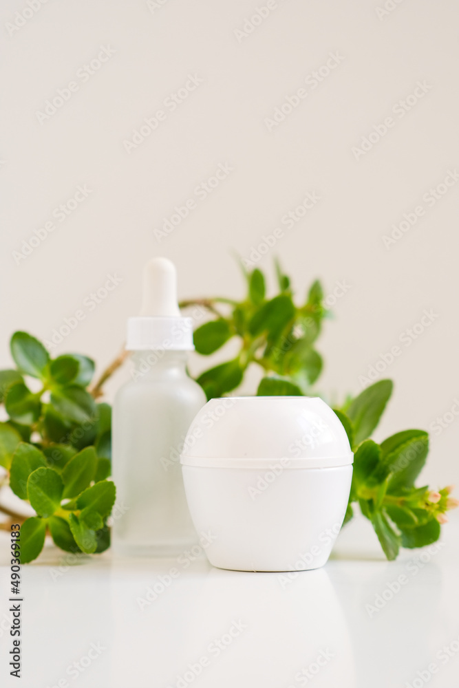 White jar of cream and a bottle with dropper from serum on a white neutral natural light. Still life minimalistic beauty cosmetic template for beauty business and industry. Bright fresh green leaves. White jar of cream and a bottle with dropper from serum on a white neutral natural light. Still life minimalistic beauty cosmetic template for beauty business and industry. Bright fresh green leaves.