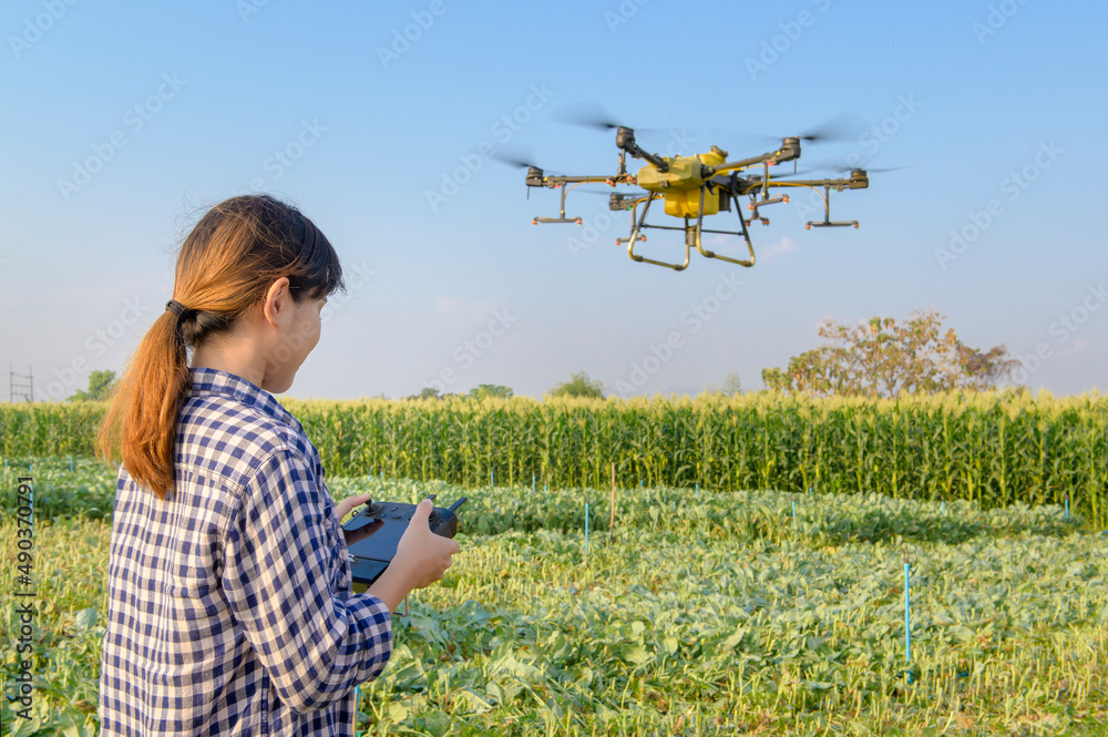 Young smart farmer controlling drone spraying fertilizer and pesticide over farmland,High technology innovations and smart farming Young smart farmer controlling drone spraying fertilizer and pesticide over farmland,High technology innovations and smart farming