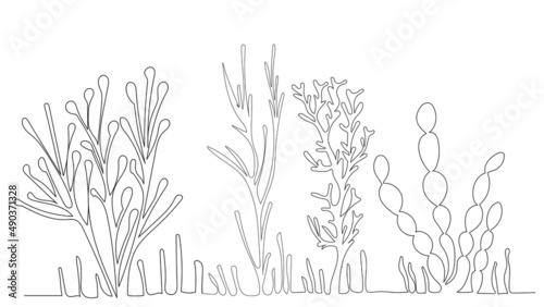 algae drawing in one continuous line, isolated vector