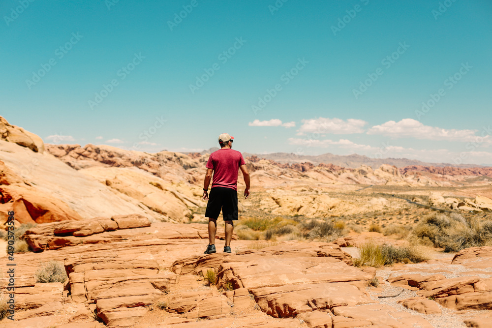 A Man looking over the vast desert in the Valley of Fire State Park, in Nevada.