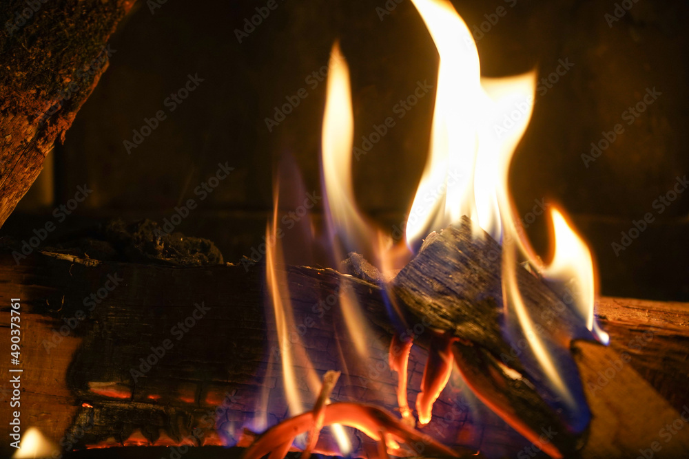 Fototapeta premium fireplace with burning logs in the dark