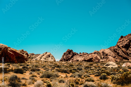 Red Rocks at the Valley of Fire Park in Nevada  USA.