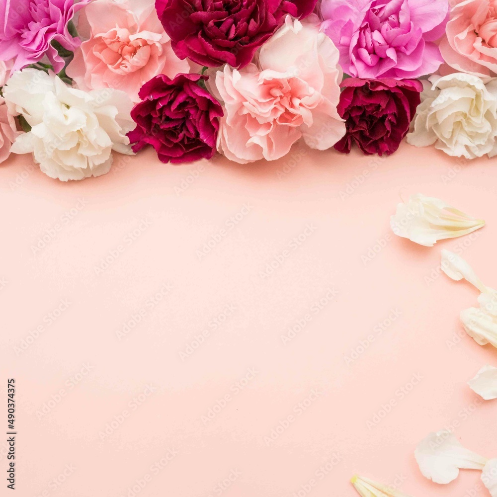carnations bunched on a pink flat lay with white petals scattered