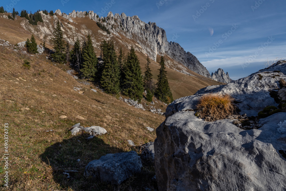 Alpine panorama in the Swiss Alps