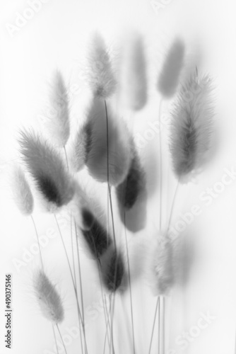 abstract background of flowers and plants, double multiple exposition #490375146