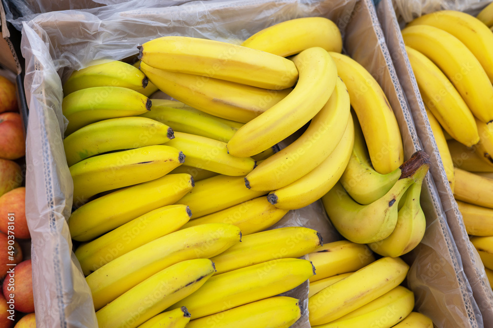 Assortment of fresh banana fruits at market