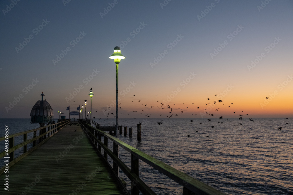 Seebrücke Zinnowitz mit Vogelschwarm in der Dämmerung Seebrücke Zinnowitz mit Vogelschwarm in der Dämmerung