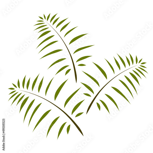 Three palm branches with green leaves, a pattern on a white background