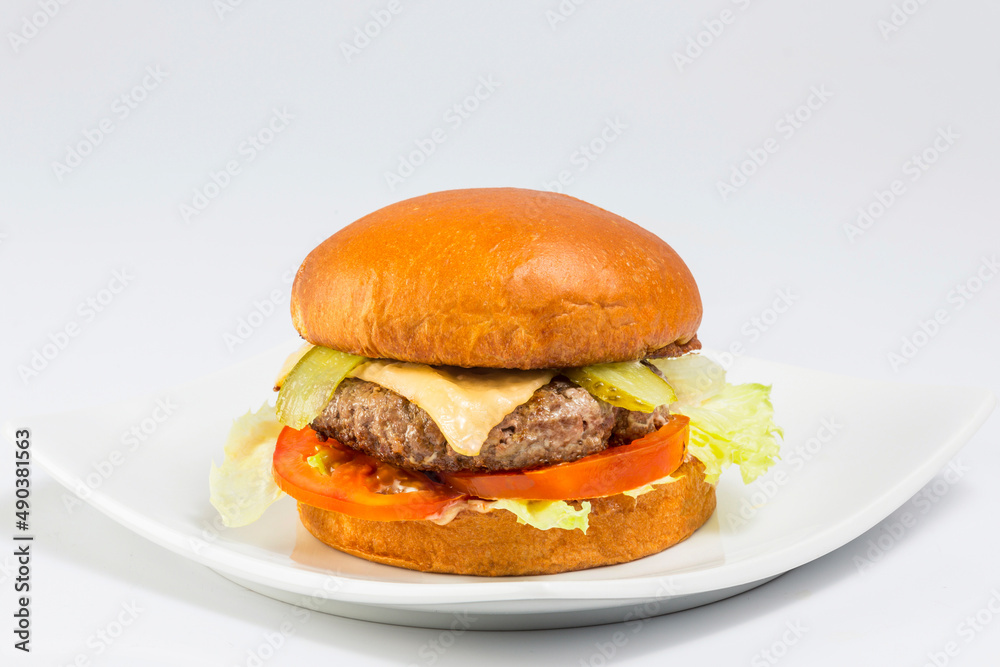 hamburger on a plate 02
