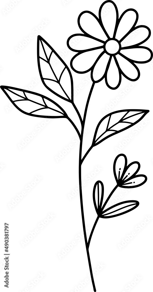 collection forest fern eucalyptus art foliage natural
leaves herbs in line style. Decorative beauty, elegant illustration 
Vector flower Botanical