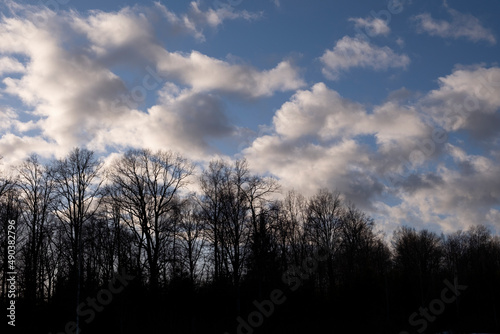 White Cloud Textures with Blue Sky, Fluffy White Cloud Shapes, Cloud Backgrounds