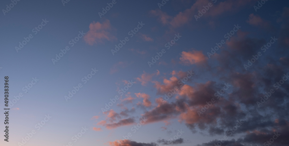 purple clouds in blue sky, golden sunset evening in Latvia