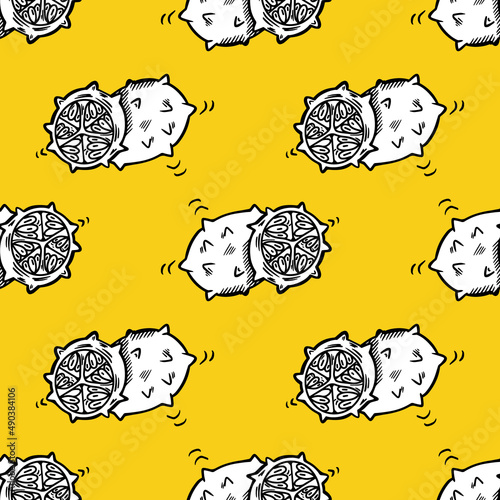 Vector seamless pattern with kiwano . Vector graphics. Vector illustration