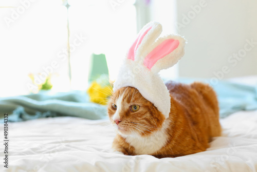 Cute cat in bunny ears lying on bed. Easter holiday