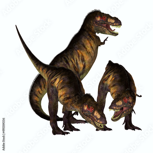 Three Tyrannosaurus Rex - Tyrannosaurus rex was a carnivorous theropod dinosaur that lived in North America during the Cretaceous Period.