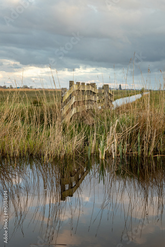 ditches with wooden fence between reeds in nature reserve Alde Feanen in Friesland, the Netherlands