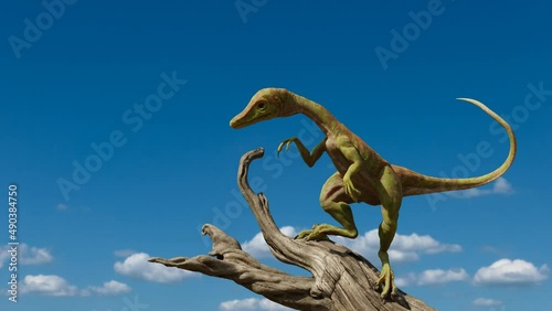 Compsognathus longipes, tiny dinosaur species from the Late Jurassic period, 4k