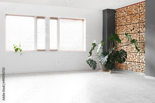 Tropical plant in big empty...