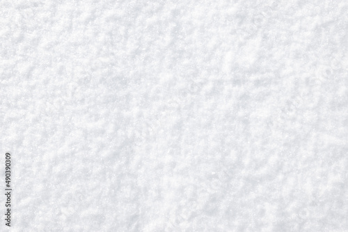 White background with fresh snow.