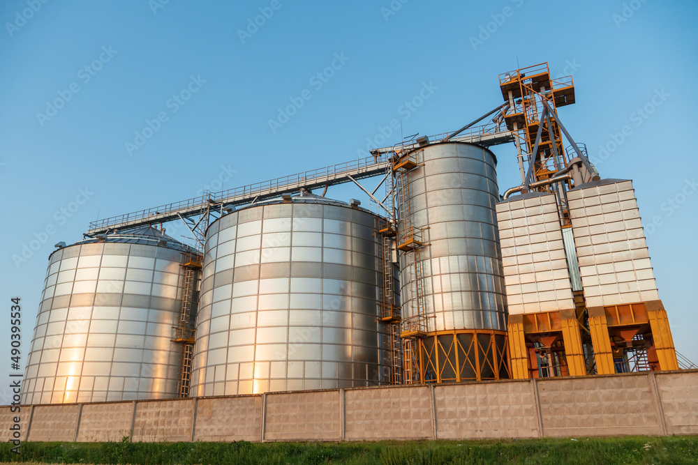 Next to a wheat agricultural field installed silver silos on agro manufacturing plant for processing drying cleaning and storage of agricultural products, flour, cereals and grain. Granary elevator Next to a wheat agricultural field installed silver silos on agro manufacturing plant for processing drying cleaning and storage of agricultural products, flour, cereals and grain. Granary elevator