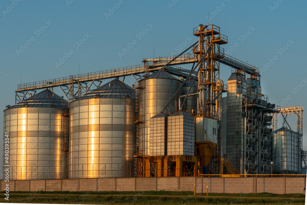 Next to a wheat agricultural field installed silver silos on agro manufacturing plant for processing drying cleaning and storage of agricultural products, flour, cereals and grain. Granary elevator