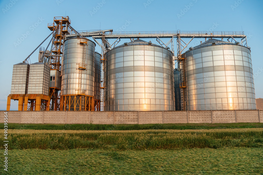 Next to a wheat agricultural field installed silver silos on agro manufacturing plant for processing drying cleaning and storage of agricultural products, flour, cereals and grain. Granary elevator Next to a wheat agricultural field installed silver silos on agro manufacturing plant for processing drying cleaning and storage of agricultural products, flour, cereals and grain. Granary elevator