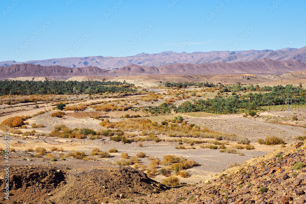 Typical desert landscape in southern morocco, few green bushes and palms growing near drought river, mountains at distance