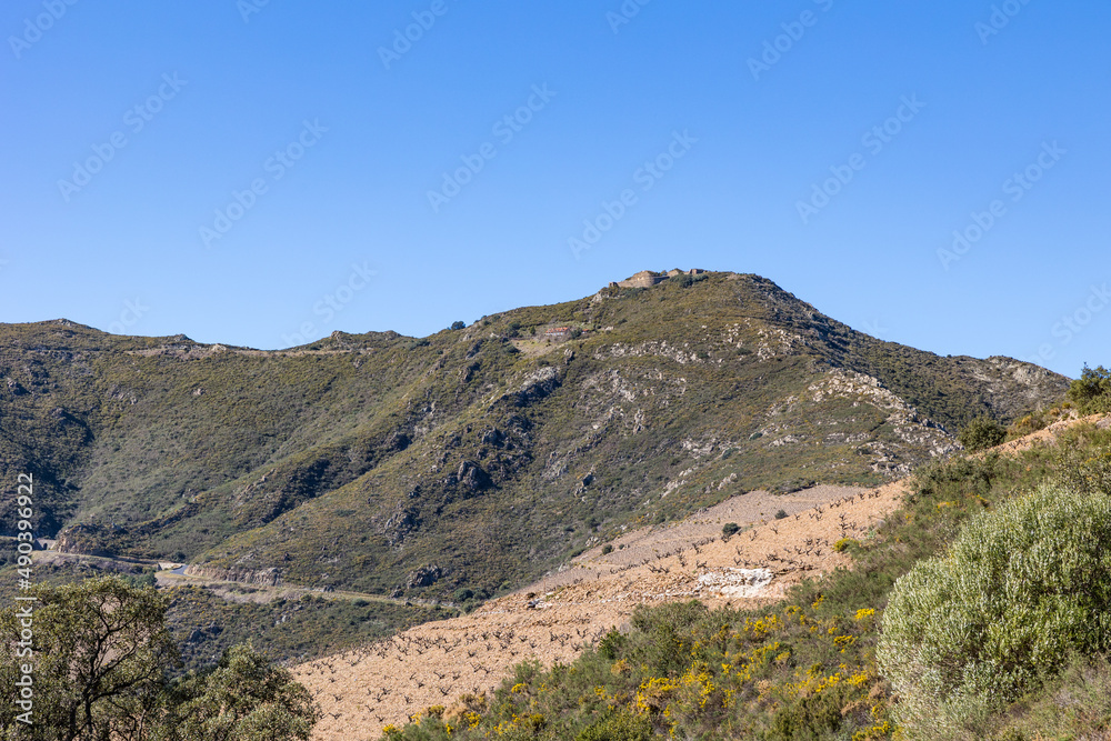 Vue sur le Fort Dugommier dans le Massif des Albères près de Collioure (Occitanie, France)