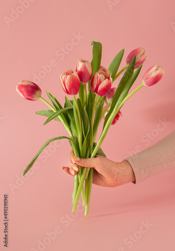 fresh colorful gardening jungle Easter tulips in women hands against pastel pink background with copyspace. adorable creative decoration idea.