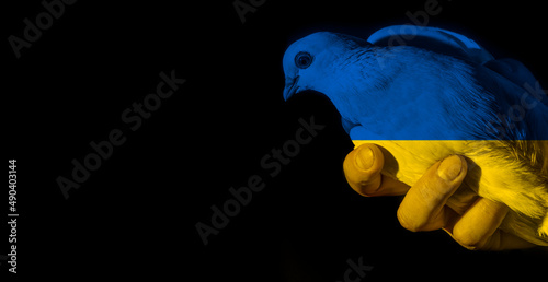 ukraine crisis concept of peace in ukraine flag colors photo