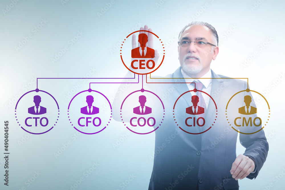 Businessman in the organisation chart concept Businessman in the organisation chart concept