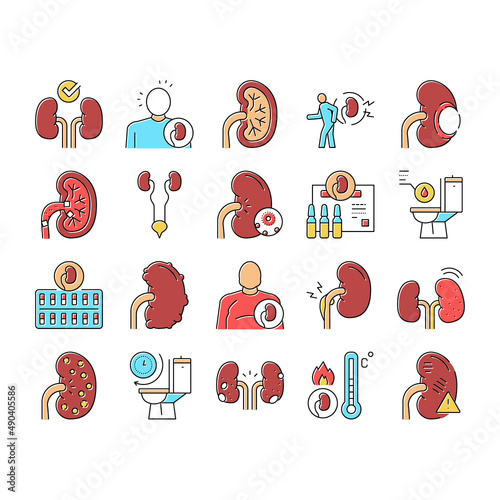 Nephritis Kidneys Collection Icons Set Vector .