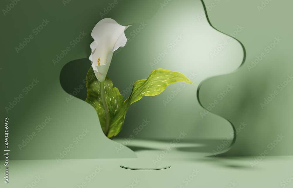 Fototapeta 3D display podium pastel green background. White flower with leaf. Nature Blossom minimal pedestal for beauty, cosmetic product presentation. Summer and spring Feminine copy space template 3d render