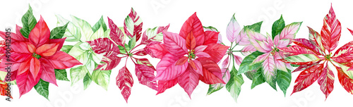 Seamless watercolor pattern with poinsettias. Horizontal garland. Red  pink  mottled flowers. Best for Christmas decor  greeting cards  winter wedding invitation