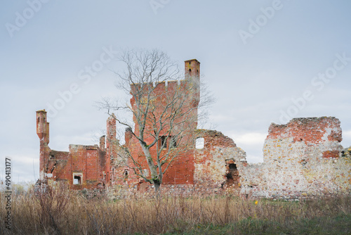 Picturesque ruins of gothic medieval castle