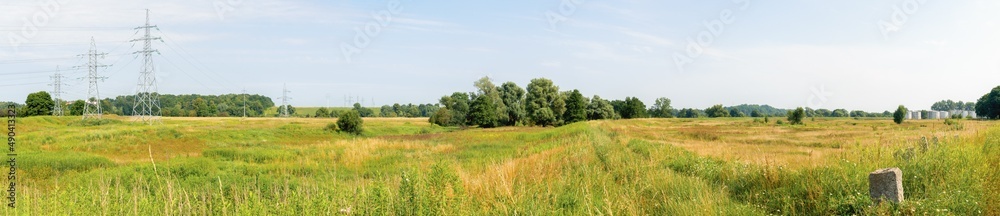 endless meadows of green grass on a sunny day endless meadows of green grass on a sunny day