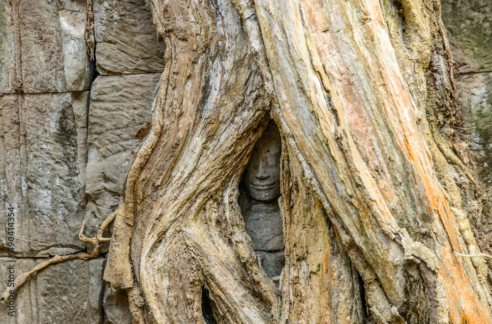 A carved face smiles from between the roots of a tree in Angkor Thom A carved face smiles from between the roots of a tree in Angkor Thom