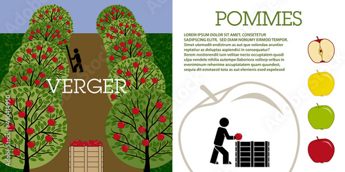 Mise en page sur le thème de la culture et la récolte de la pomme dans un verger - texte français, traduction : verger, pomme.
