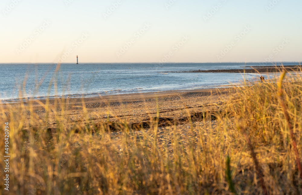 Fototapeta premium Rivedoux-plage Beach through dunes in ile de re in french country island