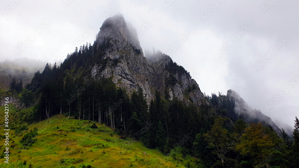 Fototapeta premium Nebeliger Tag im Wald. Mysteriöse Berglandschaft und atemberaubender Blick, Berggipfel in Nebel und Dunst. Nebliger Berg Hintergrund in der Morgendämmerung. Bayern Alpen, Bavaria, Deutschland