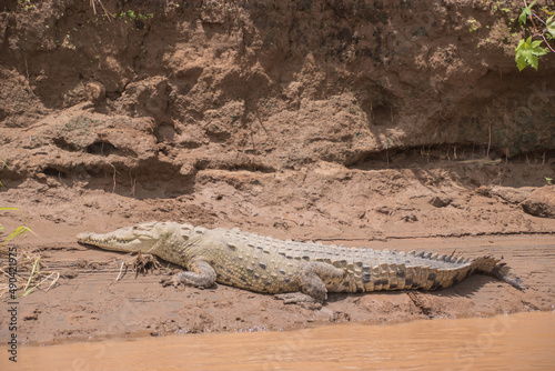 River Tarcoles  where you can observe crocodiles in Costa Rica.