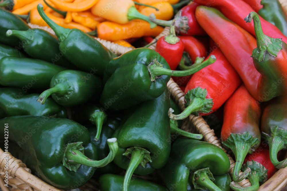 Poblano Peppers with Asian Red Peppers and Yellow Chili Peppers Poblano Peppers with Asian Red Peppers and Yellow Chili Peppers