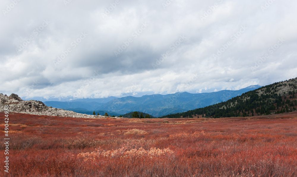 red desert in autumn in the mountains of the altai region