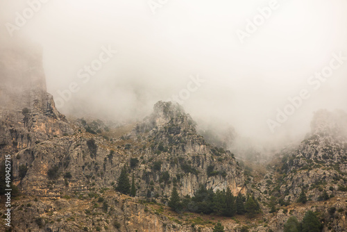 Mountain trails in the mist during winter time © anca enache