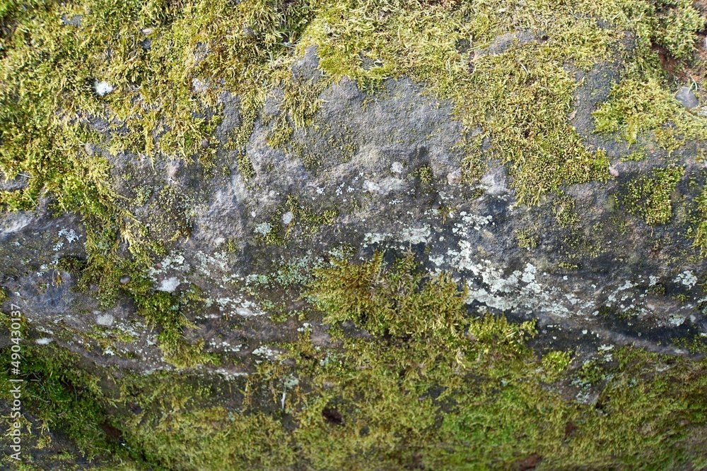 Moosbewachsener Granitstein 